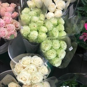 Meet your Posher, Jiacheng